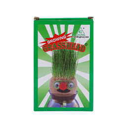Growing Grass Head